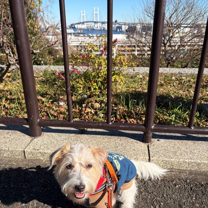 2b362e67 44ec 4426 82a2 4ed4fae0199b 1767421424805