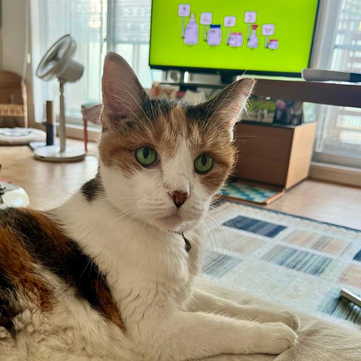 2b3636d4 cd0a 48f9 98a7 5b4ff5b25631 1695938280837