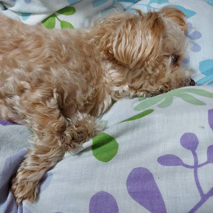 2b3649a7 ffe6 4614 a151 f098093bc3ea 1676691452484