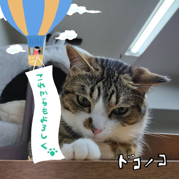 2b3671b6 3d7b 40a0 b128 e5c4f1f589b1 1686003227761