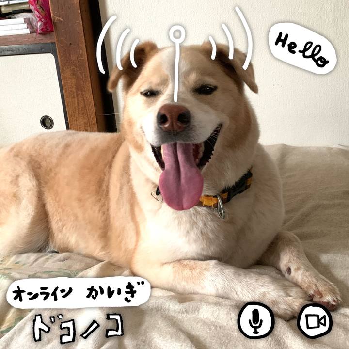 2b36a497 bf81 44e5 a6c6 369314cbad57 1590902487753