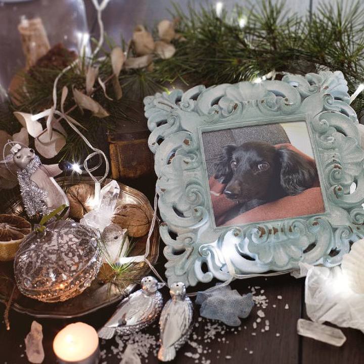 2b36c30d cb02 4e84 822e 6a5ea7a8f8d0 1577278022004