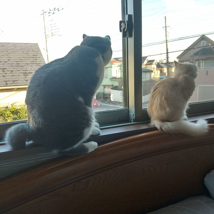 2b36cc18 e4f4 49e4 9d1a 1a05fc4c042e 1607219782551