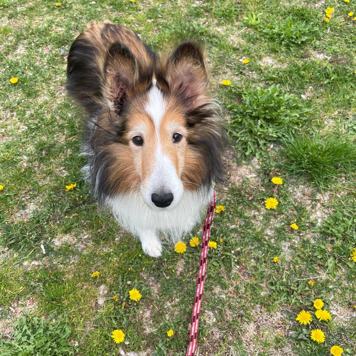 2b36d623 141f 44c3 90d2 61f96a416d6b 1620719444920