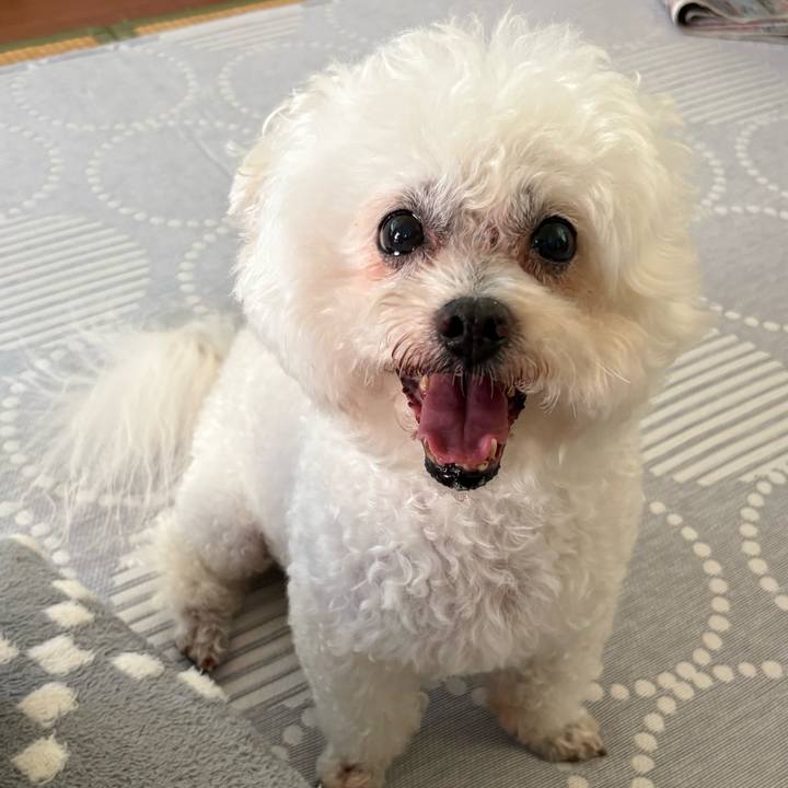 2b36d894 7fec 4656 b7b8 16e766818a8c 1757144332864