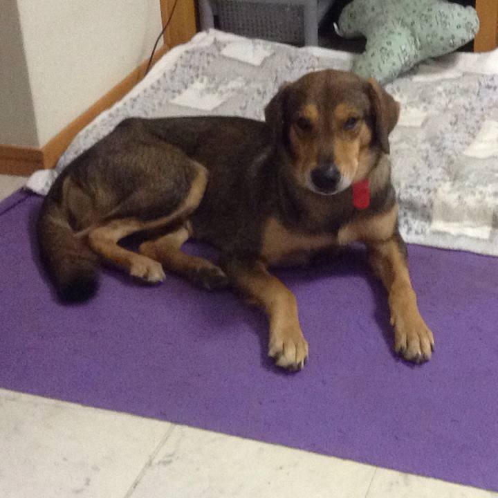 2b36e3e3 e893 4853 9bea 91bd25ef1ab6 1514198845733