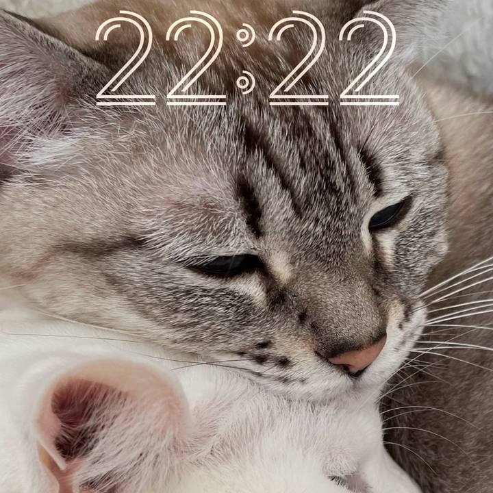 2b36f591 f2e9 408c af05 42b8b900d2aa 1708608314641