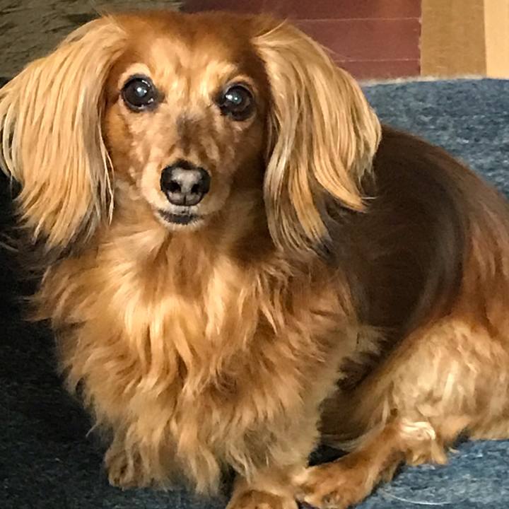 2b371927 430b 4373 8279 54fd264402fa 1551184015030