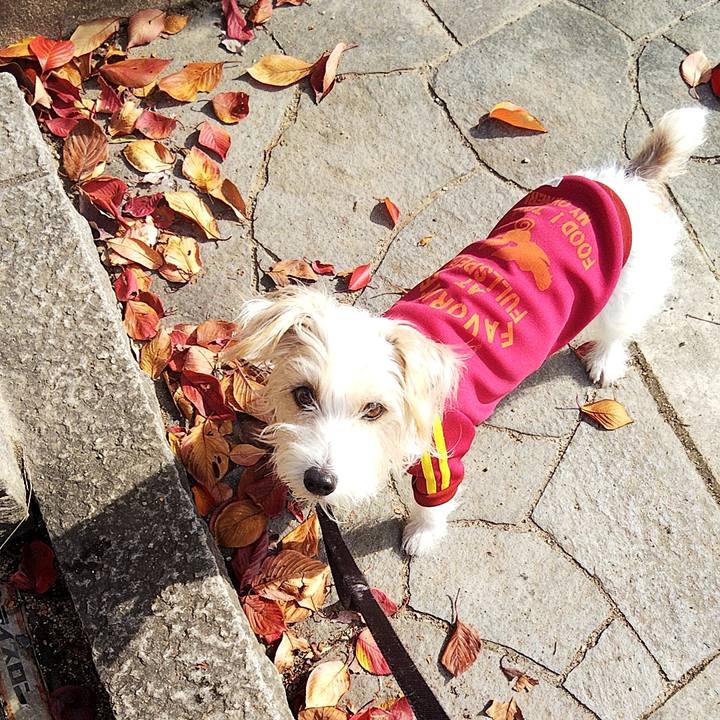 2b373b8e 87e8 45ea bb8b 0db754b9af50 1615079699252