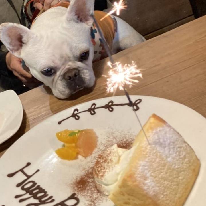 2b3743df 8084 4c8a 9462 98b77d5bd3e8 1651217664770