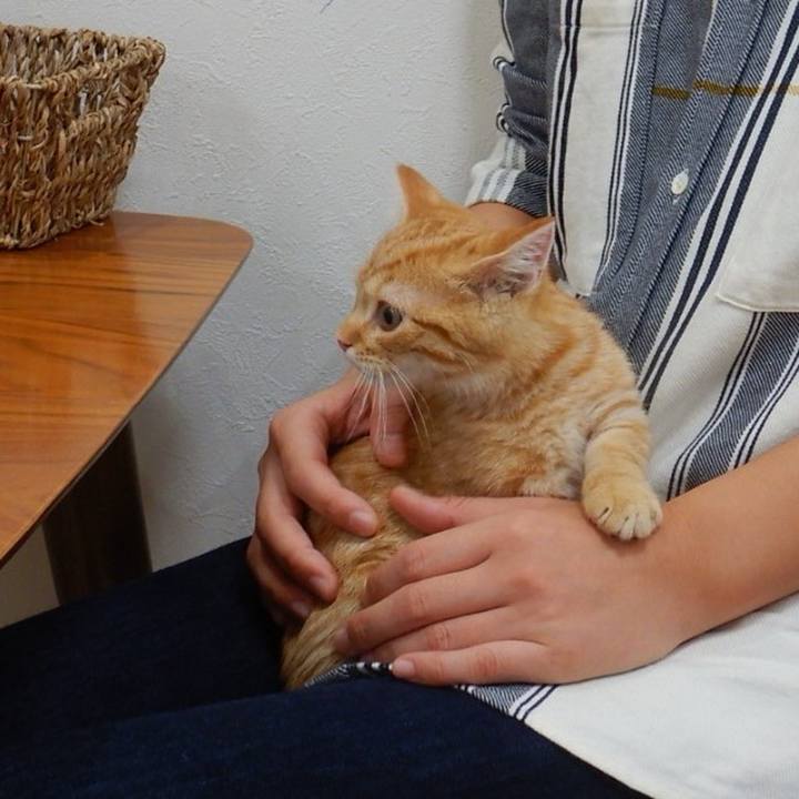 2b3770c4 e5d4 4243 8d7d 56bea5301882 1761982947041