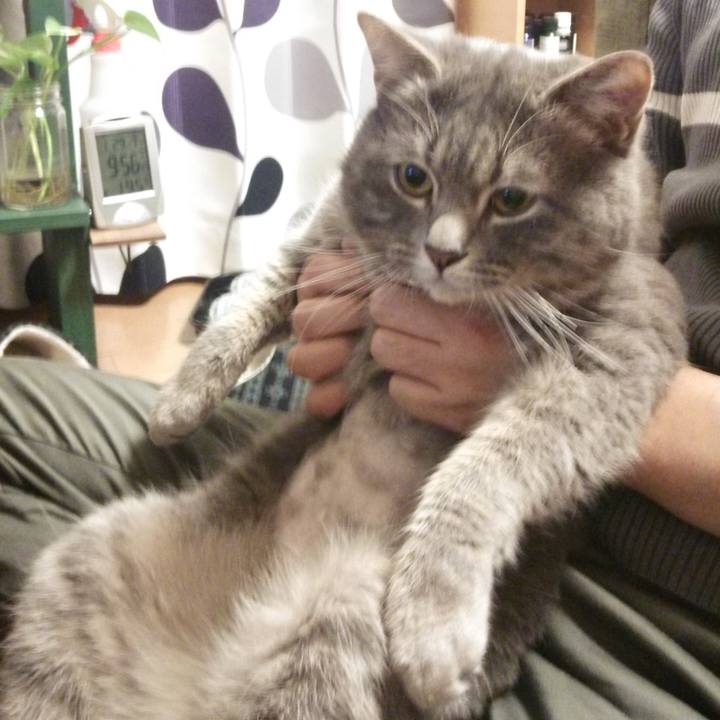 2b377cb0 3b74 46fd 9bb2 cdbc9ec21a63 1548761907091