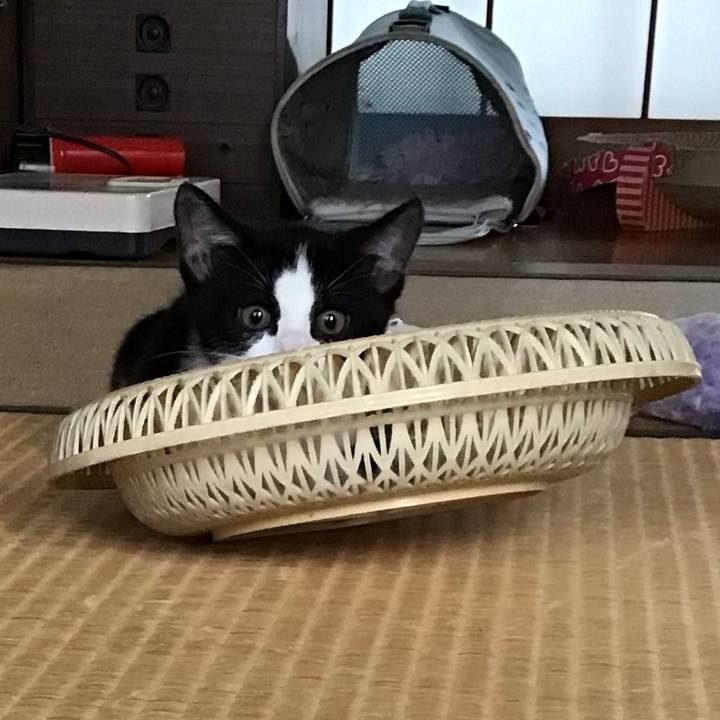 2b377ccb 0a09 467c b4cd b06768f7c834 1625464601595