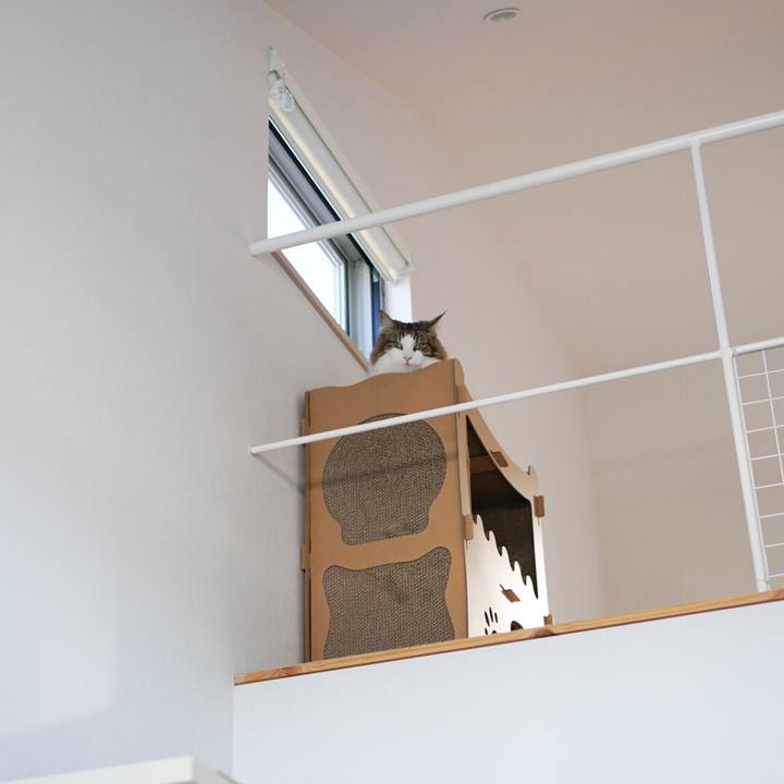 2b378071 f2ad 4b93 9a9f 086d5835a30c 1581385105139