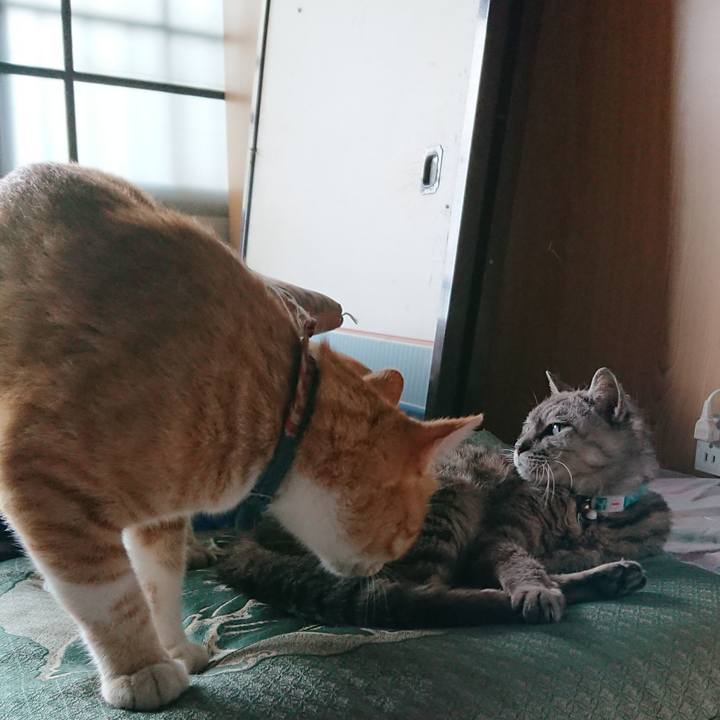 2b37958e 3fb1 40a2 b12e 93fe512e8b08 1565937145951