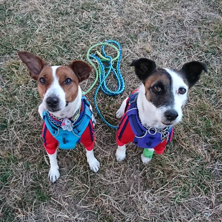 2b37c739 91ed 46f7 893c 5a52038badd9 1612685426628