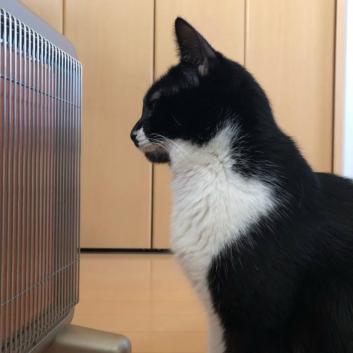 2b3813b0 a2d5 4b13 b755 2b9d0bbe5669 1546977607586