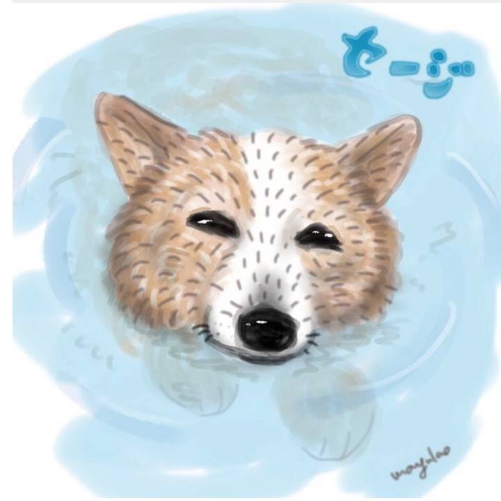 2b383e3a 7a8a 44f8 b902 8757622ca8e3 1570329115635