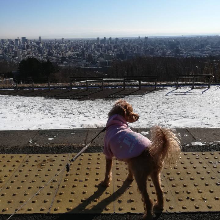 2b3897cd 282f 4d80 9cb4 bcf54a6dc66f 1553904664050