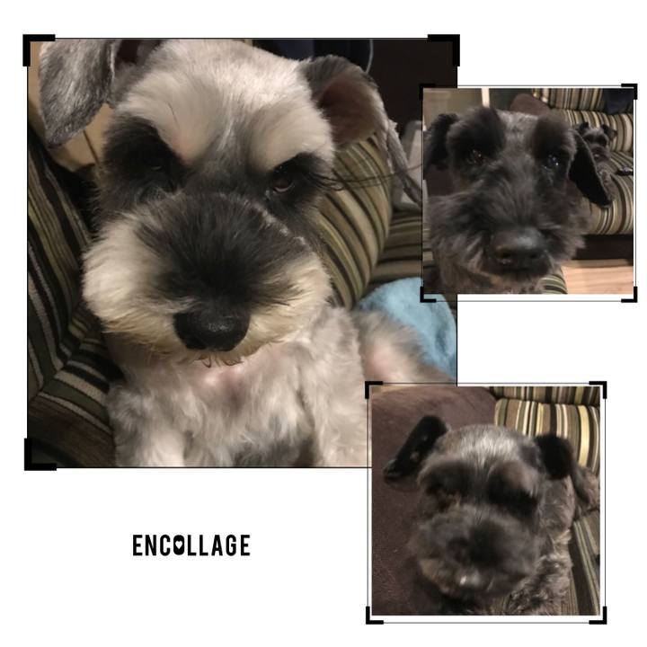 2b38aa0e 0c50 43ea 9c89 ecc76a7934d9 1512333409742