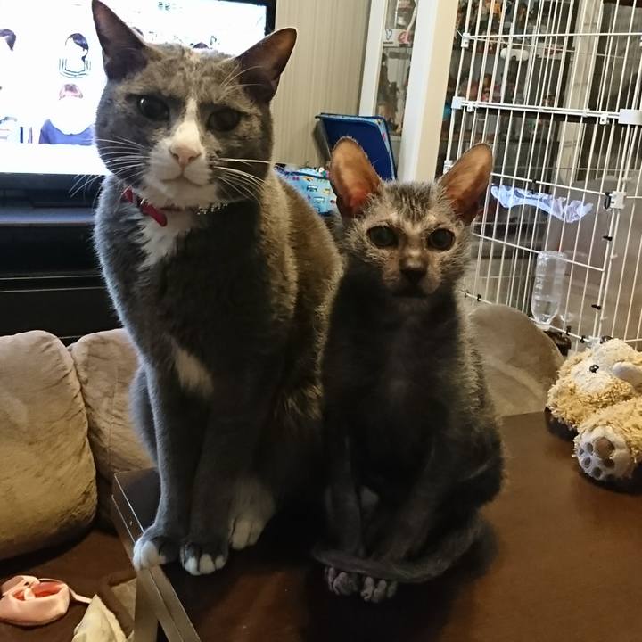 2b38d35f 986b 43d9 af66 8bff32607aff 1517115614151