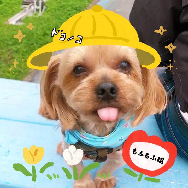 2b38e22e b9e4 42cd a896 507262019ff4 1712235594798