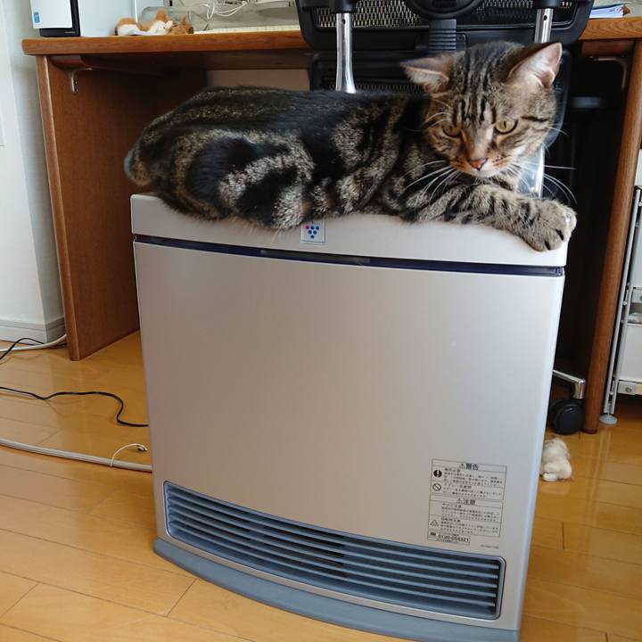 2b392e34 2b4c 4b82 bd41 19a7025b04e4 1581046299001