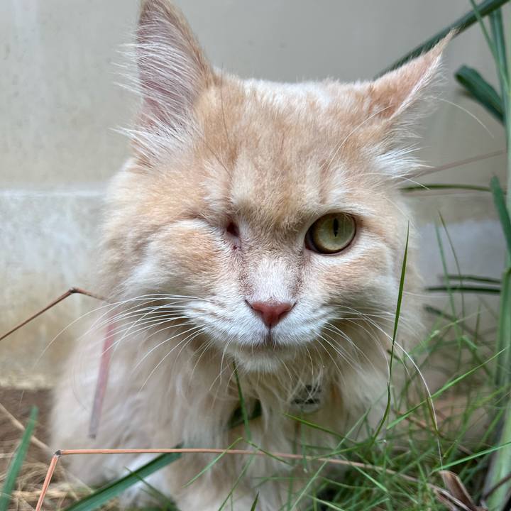 2b399b53 25e5 4a8e a87b 48a08328a67a 1767417972287