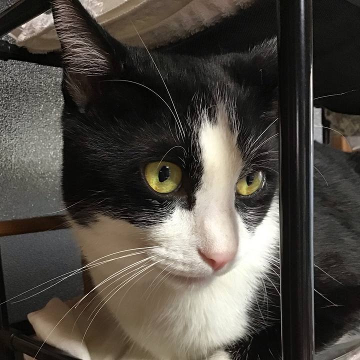 2b39a5d0 3216 4918 82b9 8101121d00d2 1693740813879