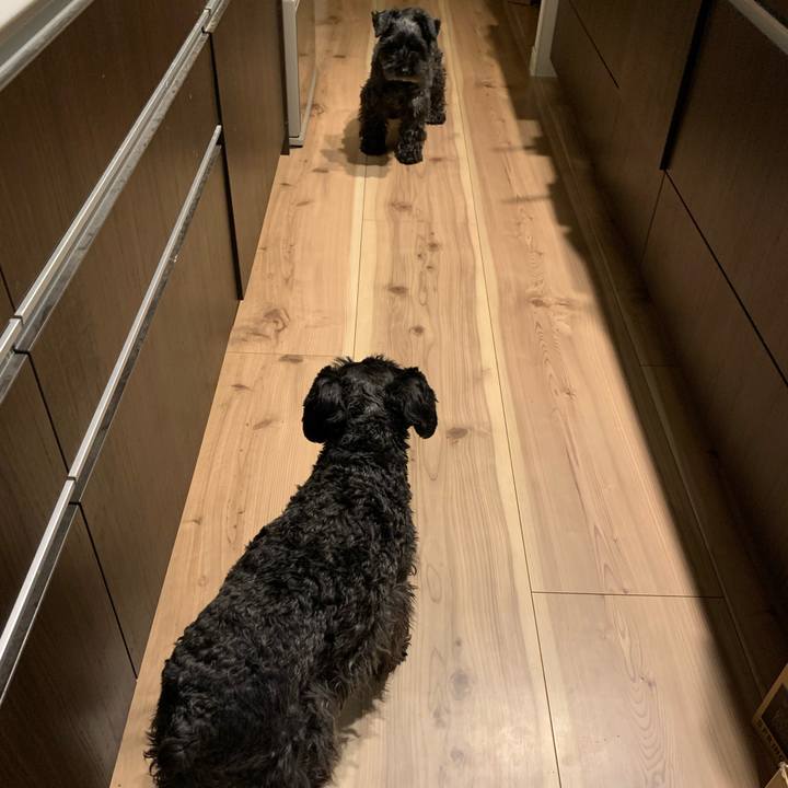 2b39d9bf e90d 4a41 b5e4 3090be8236fc 1621843877135