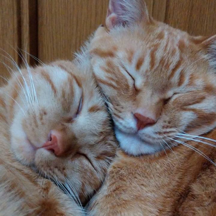 2b39ddeb 167c 474f ab66 7f2417efc95f 1584790918368