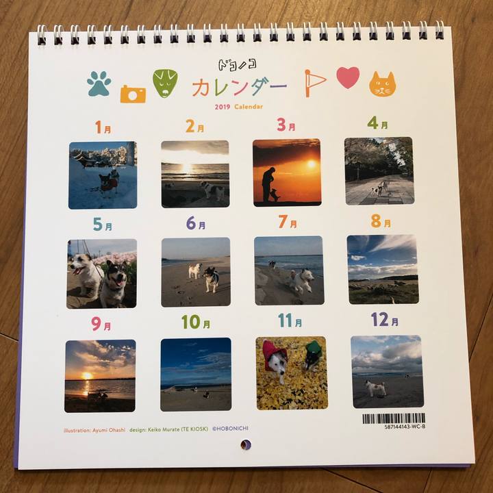 2b3a8163 2bb6 46bb ab42 eef069842638 1546049772213