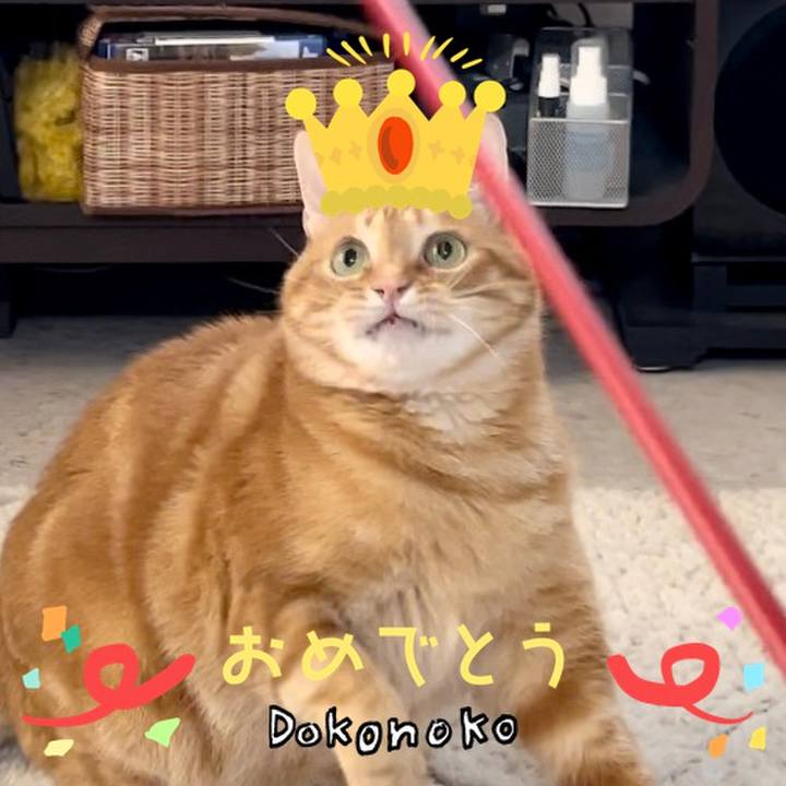 2b3aa4db aff5 4fff ae6c 11c2c07c1f33 1685954093656