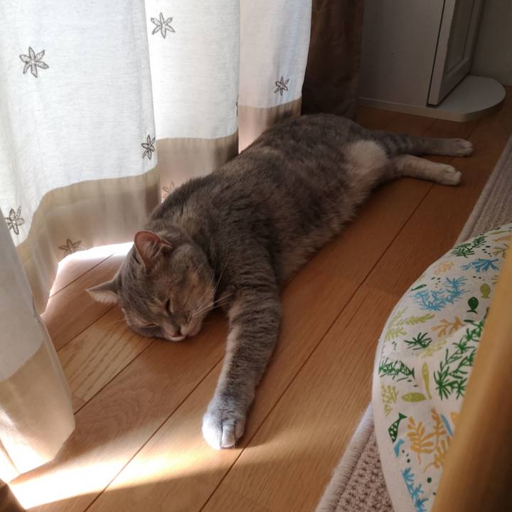 2b3ad28e c7ca 4815 8186 b4808eb6c128 1564734151627