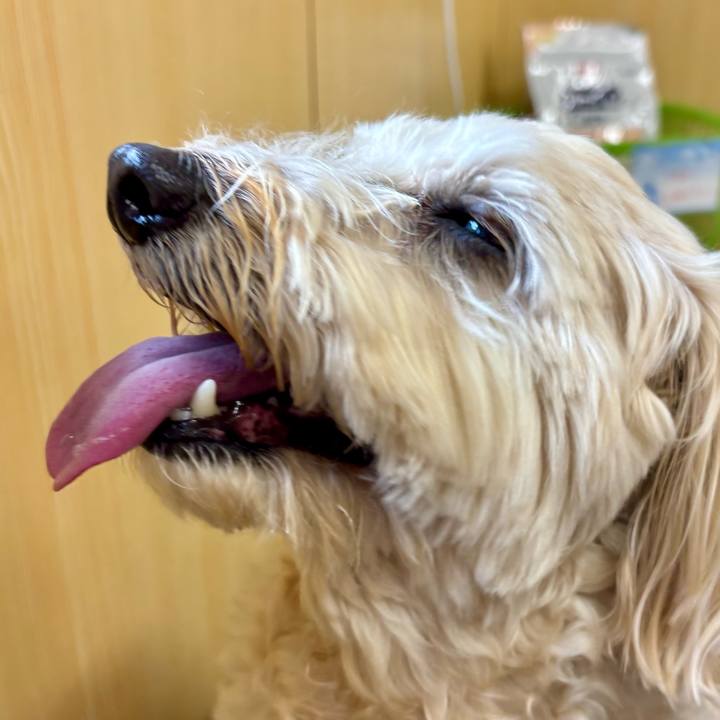 2b3ae989 f991 4a2a 9078 0eaf29c9b74e 1775795867200