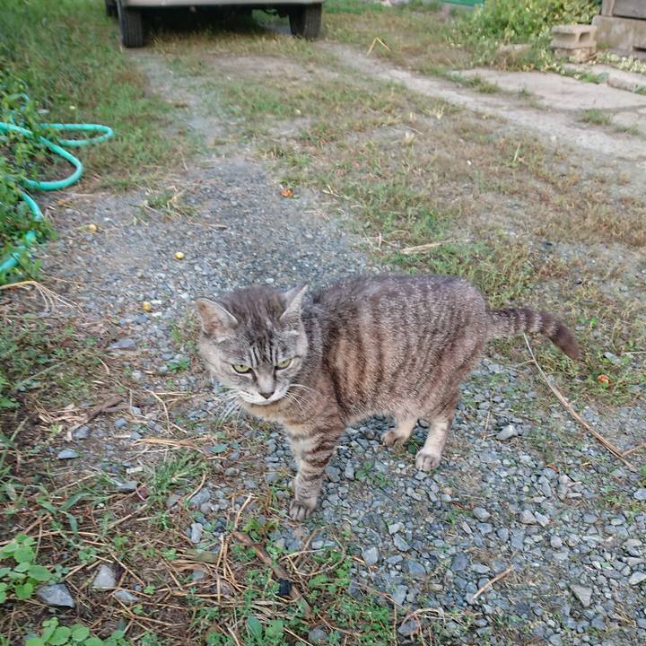 2b3af321 2b8b 47b3 a81a 42d1f882d46a 1569359444347