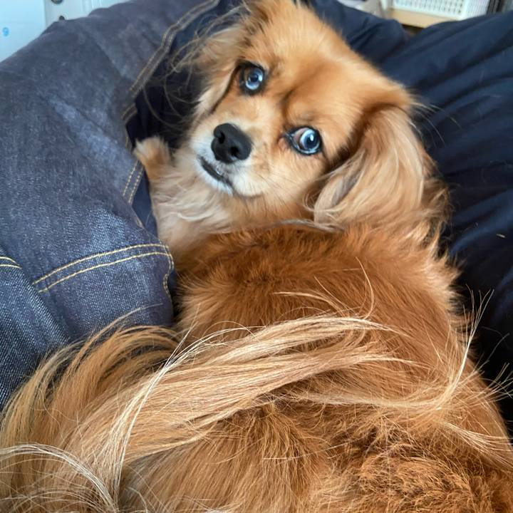 2b3b5c70 7862 4e64 b198 50596db89854 1603841482229