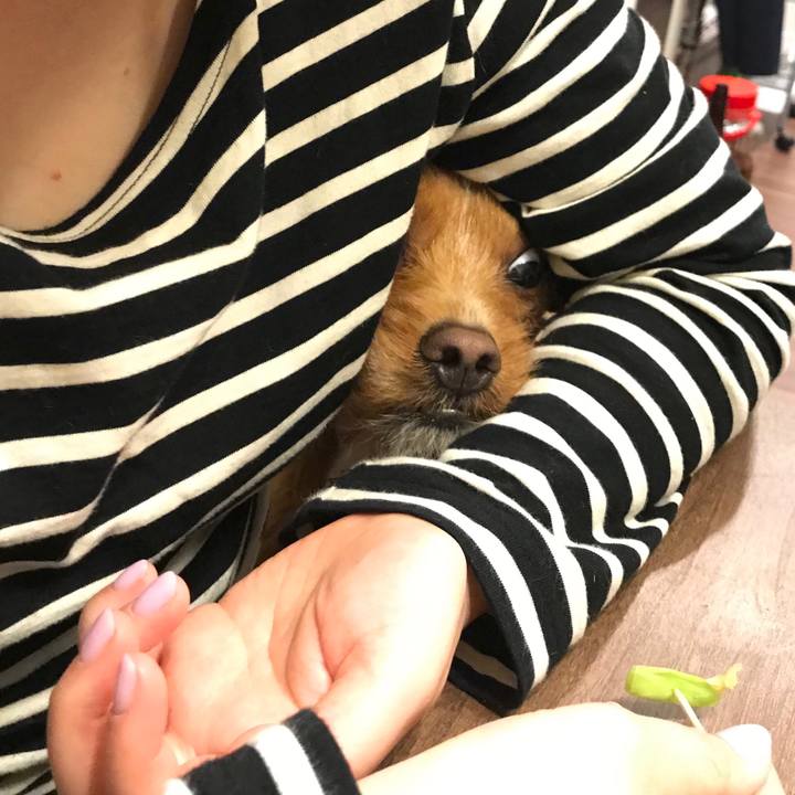 2b3badb3 e961 46c7 ba7d 92a015364bbc 1556877689721