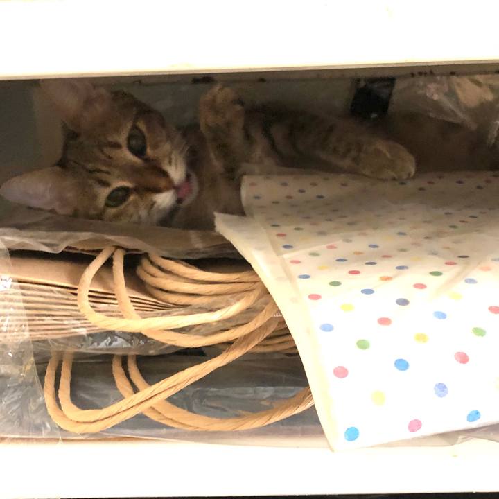 2b3be65c 4417 4b29 8f5e ae38d1574e4d 1626060183898