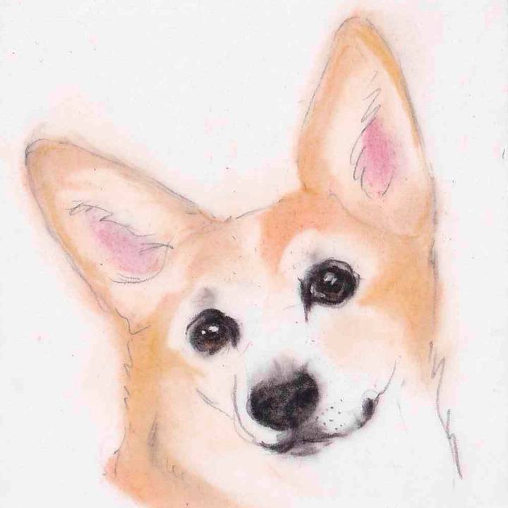 2b3c20ac d4b5 4b61 af5f 0dae7ba2b833 1633827808763