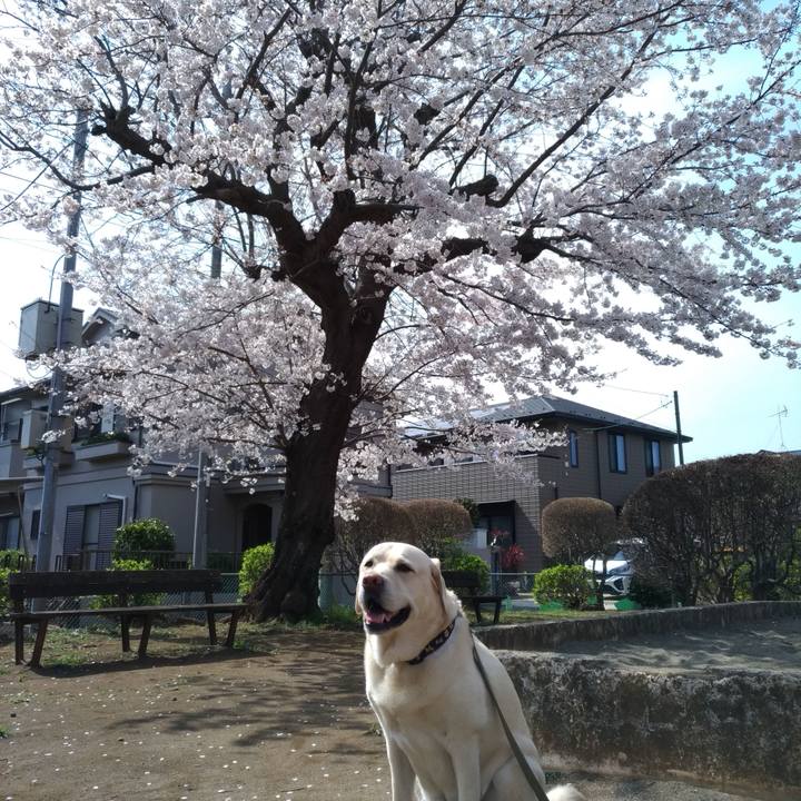 2b3c4dca cb0e 4cc8 86d4 5e60afa19add 1616820799935