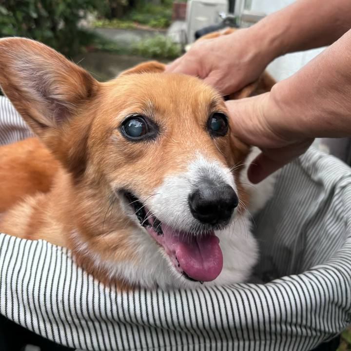 2b3c5fc0 8fe0 4ad7 ac8e 1b7ccaf07b7d 1750899174741