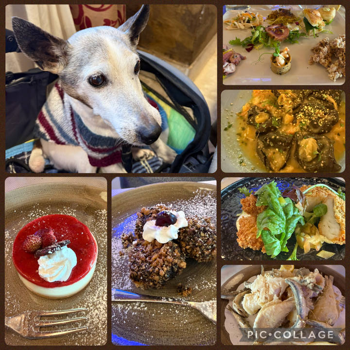 2b3c762e 9426 47f1 984d edeca8ab0076 1771102665876