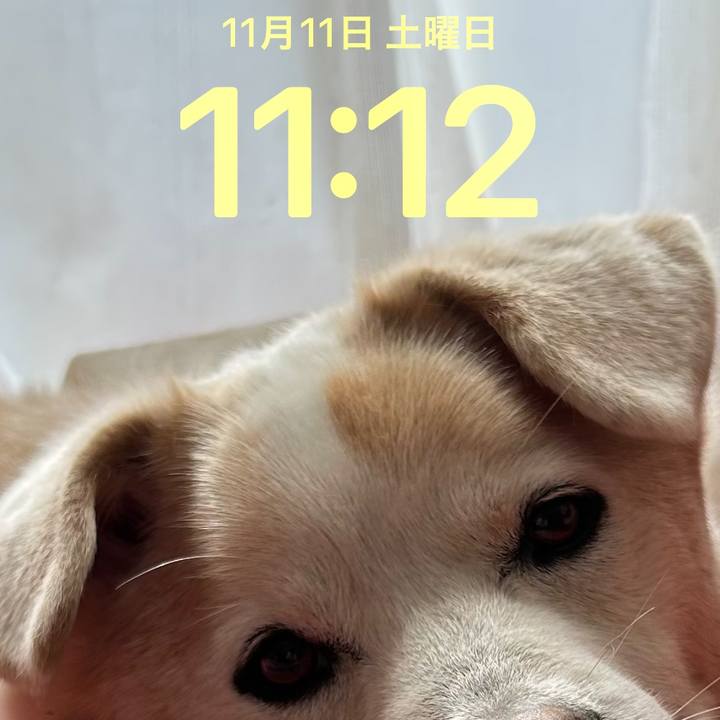 2b3c7709 6696 49be 9ff2 1baba4905071 1699668857654