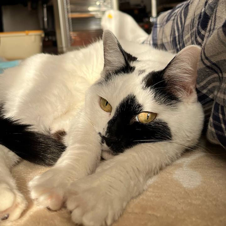 2b3cc496 cdbc 407d 9af8 1cdd51c165da 1768715822260