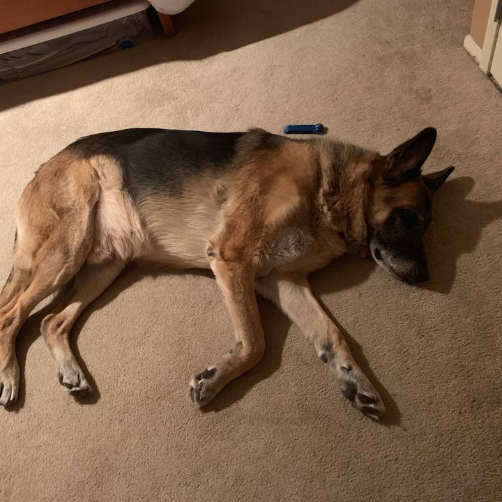 2b3ceb73 9e76 4356 a12f 46871b3f55d6 1552797638125