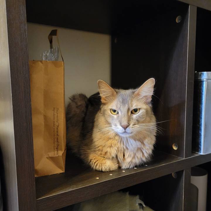 2b3d304c 1fbc 4759 82ab 32834da7d4f1 1629606894758