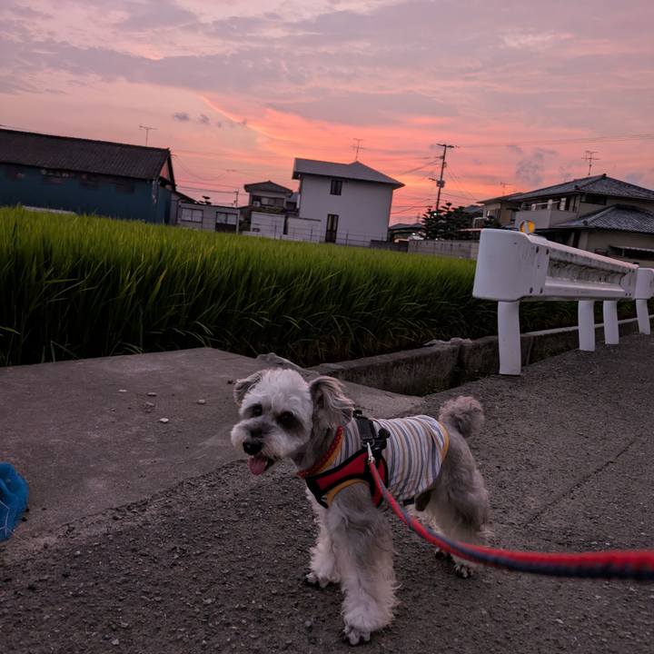 2b3d3bef 3f87 49ef bb4c 0110c3dafdfd 1755866975607