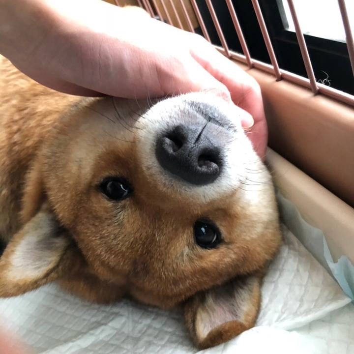 2b3d43ec cb62 40b3 98e7 7f011b181578 1547507692696