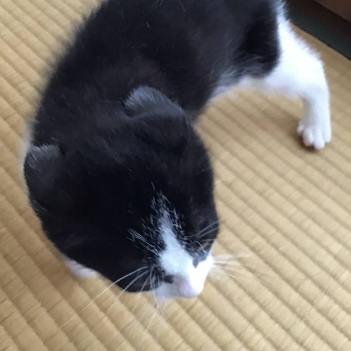 2b3d7fe2 69a4 4d5d 9b34 3d55231f6ed1 1624163831435